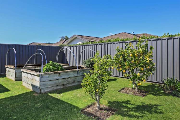 8 Waitaki Way Poraiti_16