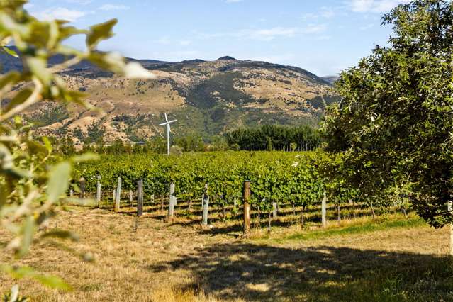 413 Maori Point Road Tarras_4