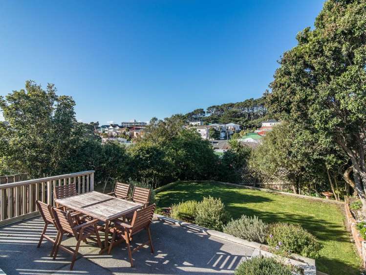 233 Rintoul Street Berhampore_13