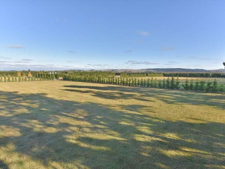 315 Foothills Road Okuku_23