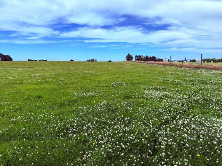 310 Drummond Oreti Road Oreti Plains_11