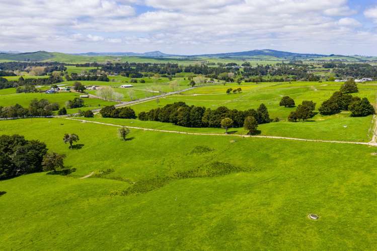 Mangakahia Road Titoki_29