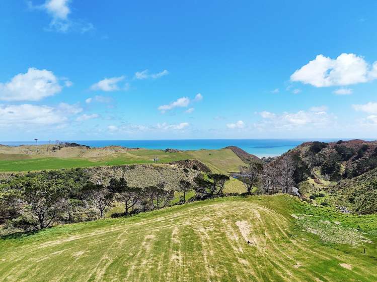 Lot 1 Redhill Road Te Kopuru_8