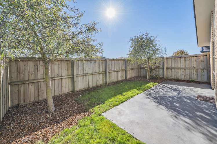 68 Mary Ellen Street Pegasus_24