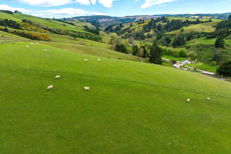 65 Gabriels Gully Road Lawrence_13