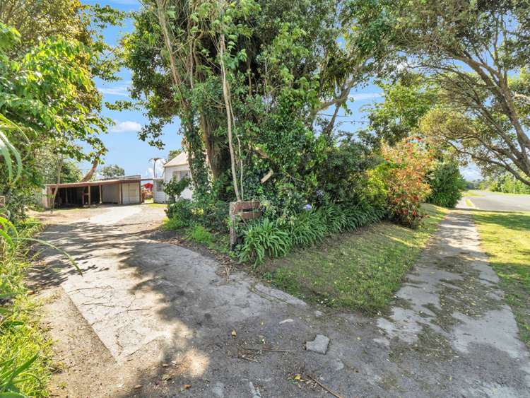 41 Gloag Street Waverley_30