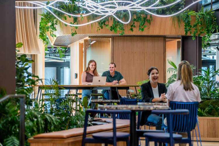 74-78 Taharoto Road Takapuna_7