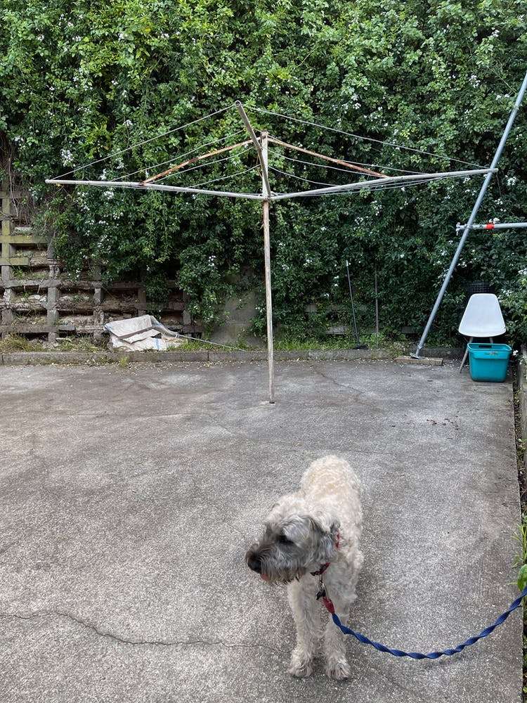 462 Evans Bay Parade Hataitai_9