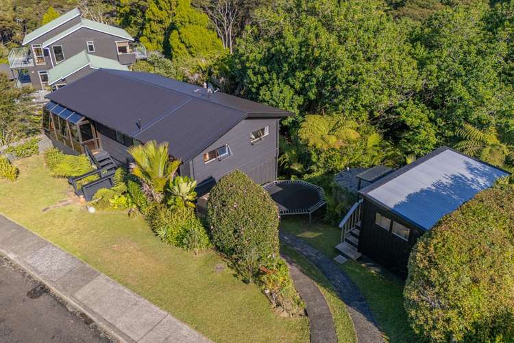 23 Punga Place Whitianga_8