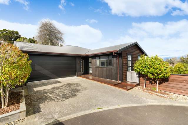 2 Waimarama Court Roslyn_3