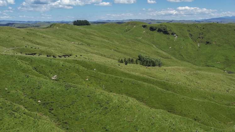 769 Pa Valley Road Eketahuna_6