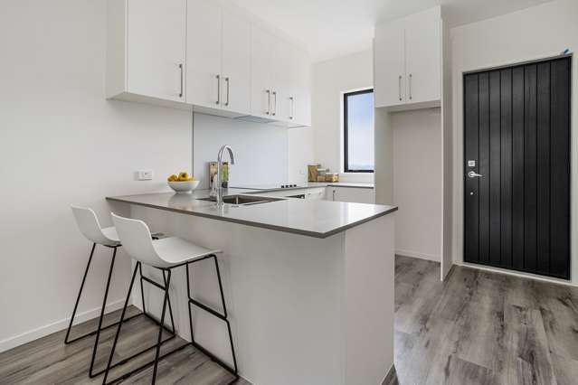 Lot 214/125c Murphys Road Flat Bush_1