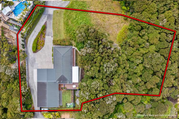 227 Lonely Track Road Albany Heights_25