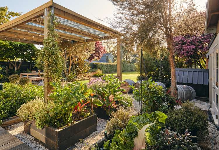 29 Severne Street Yelverton_14