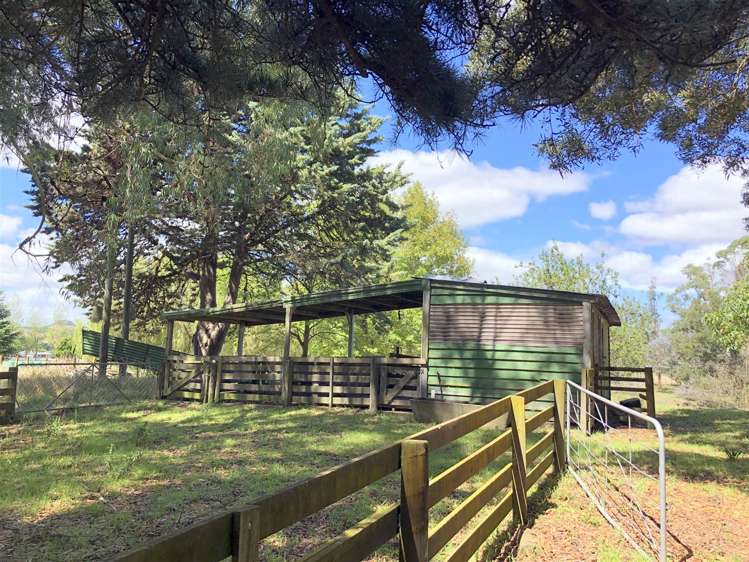 83 Porangahau Road Waipukurau and Surrounds_19