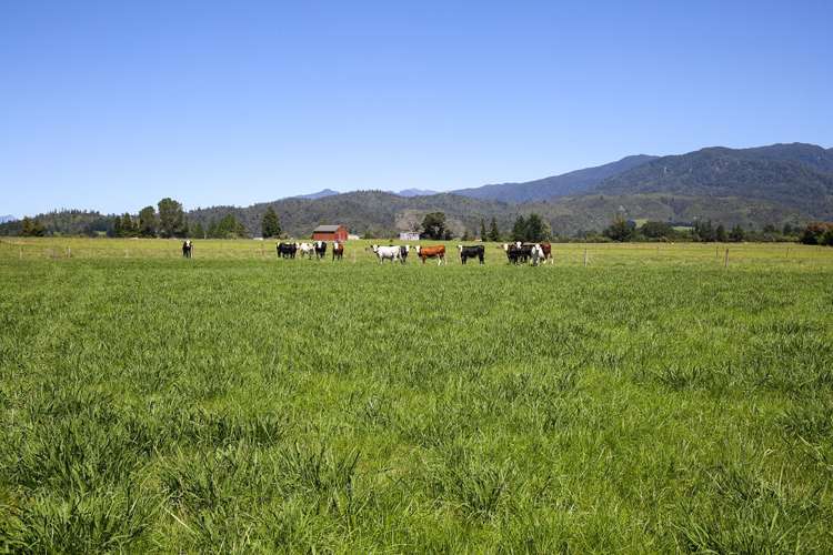 118 Patons Rock Road Kahurangi National Park_17