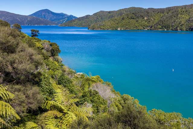 Lot 9 Blackwood Bay Queen Charlotte Sound_2