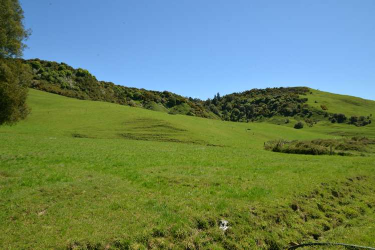 877 Puketawai Road Otorohanga_19