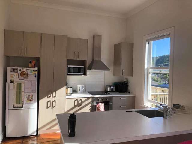 1/424 Adelaide Road Berhampore_4