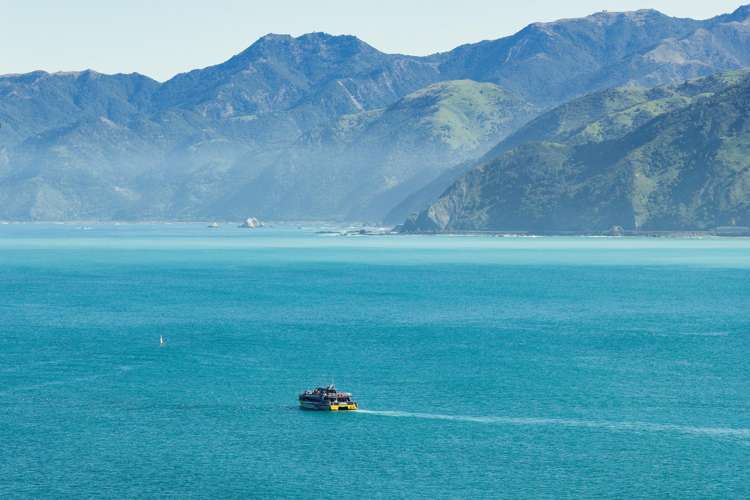 40 State Highway 1 Kaikoura Surrounds_28