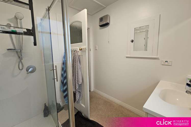 48 Brown Street Dunedin Central_12