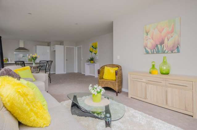 36 Ambler Avenue Glen Eden_2