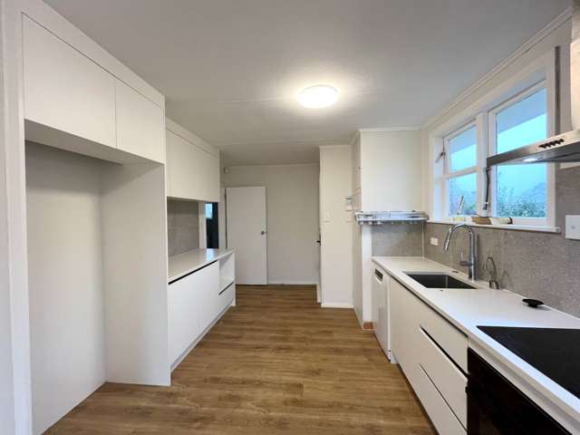 67 Apirana Avenue Glen Innes_4