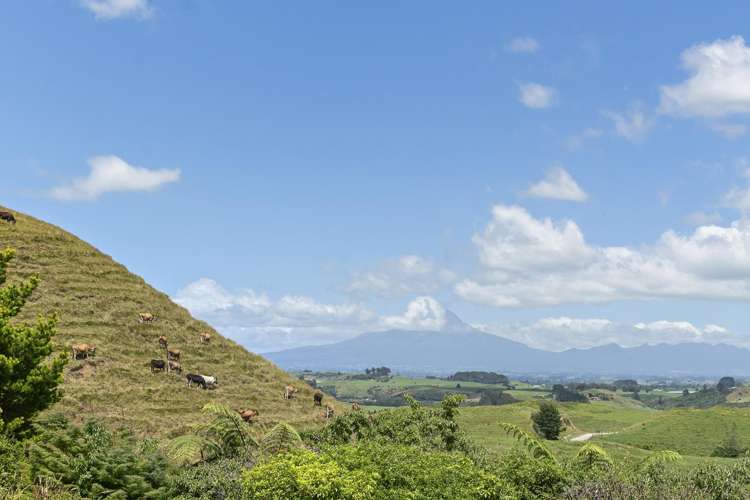 1510 Otaraoa Road Tikorangi_27