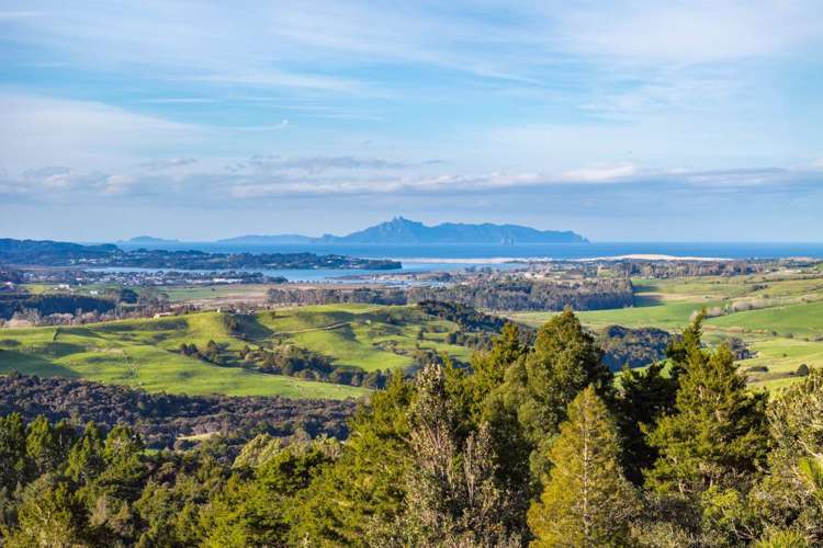 Lots 1 & 2 Carters Road West Mangawhai_19