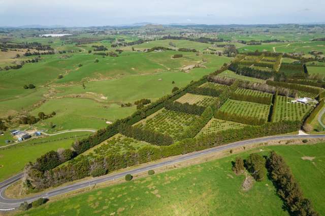 908A Te Ahu Ahu Road, Waimate North Kerikeri_4