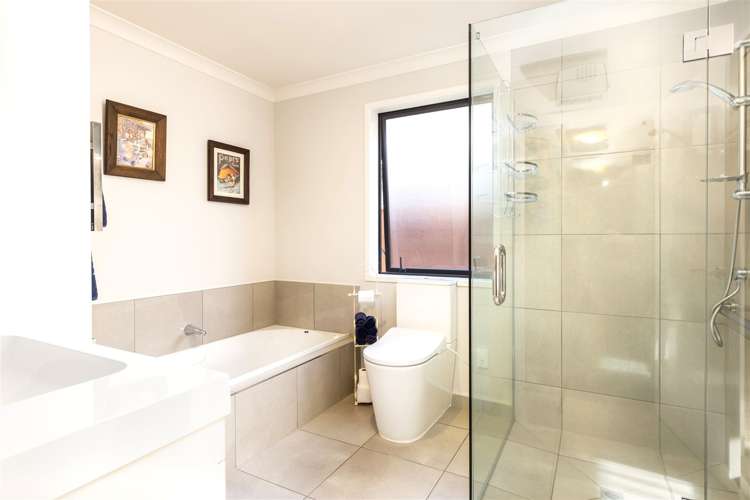 2 Korari Grove Redwoodtown_13