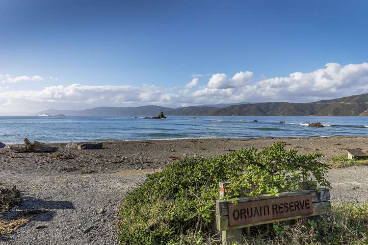 19 Steeple Lane Seatoun_20