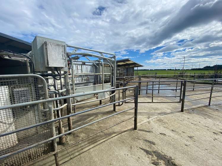 39 Hall Road Awarua Plains_4