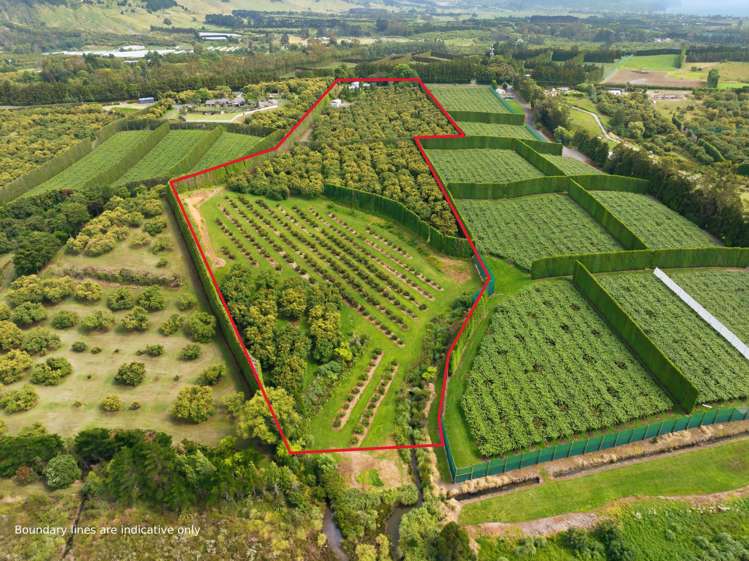 245 Athenree Road Athenree_18