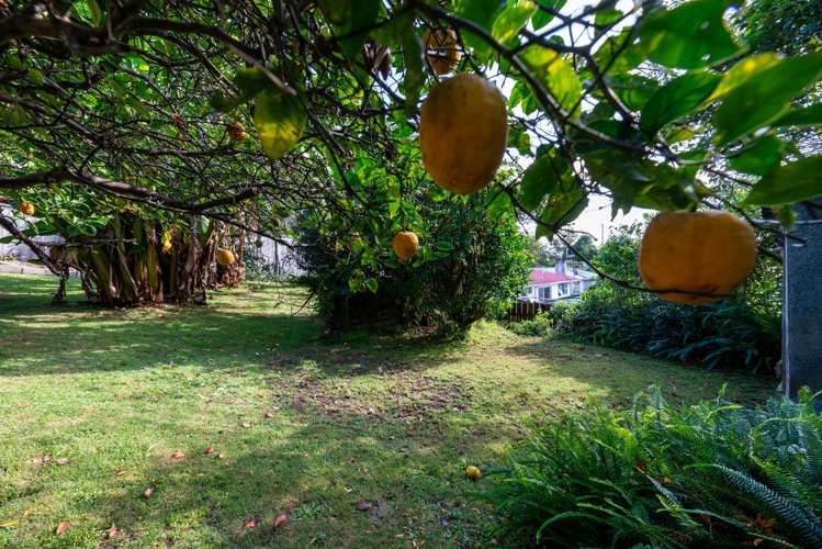 18 Manson Street Greerton_23