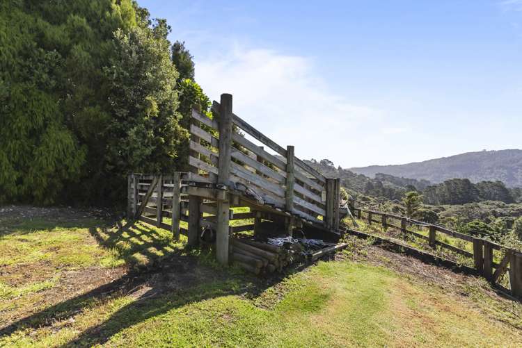 15 Long Road Waitakere_15