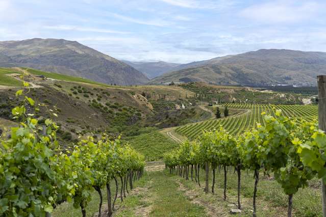 Cairnmuir Road Nevis_1