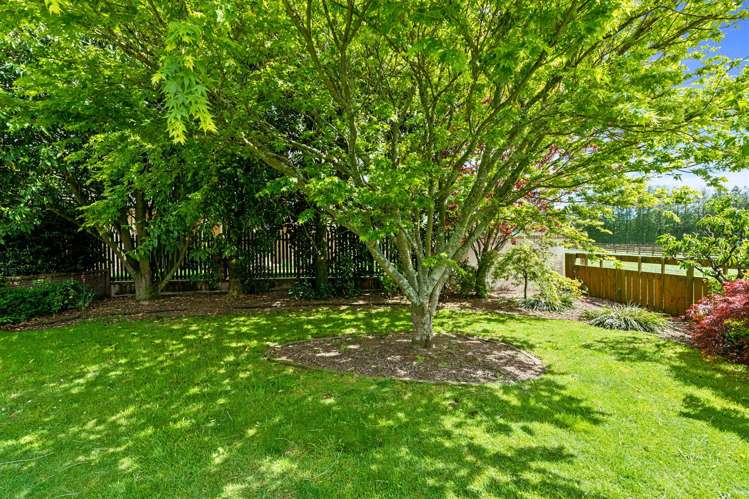 11 Mannix Place Matamata_10