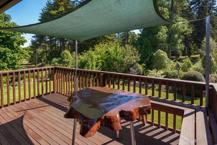 16 Robinson Street Cheviot_6