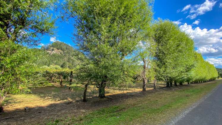 15 Tangiteroria Lane Pauanui_10