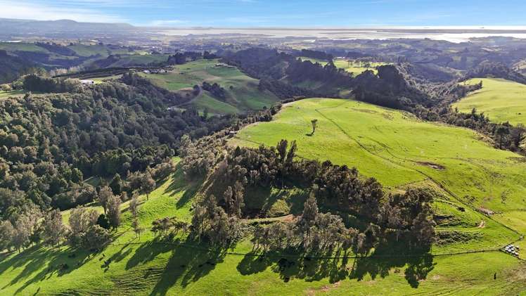 687 Work Road Whakamarama_16