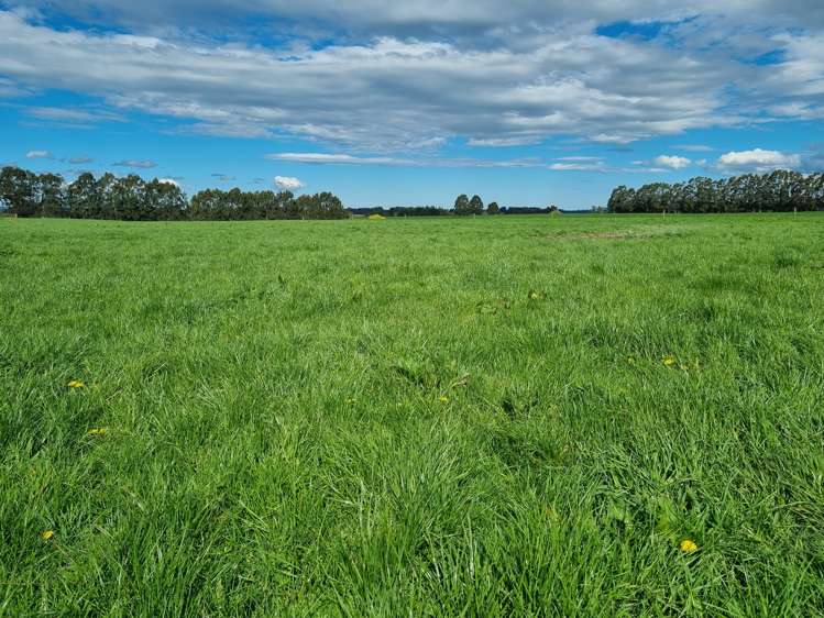 1794 Clydevale Road Clinton and Surrounds_7