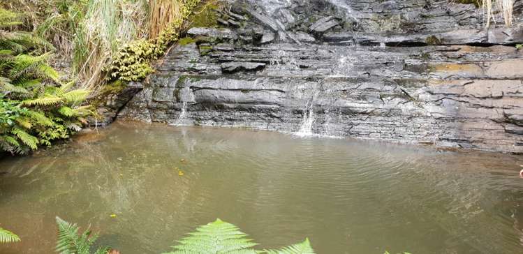 448 Moir Hill Road Warkworth_19