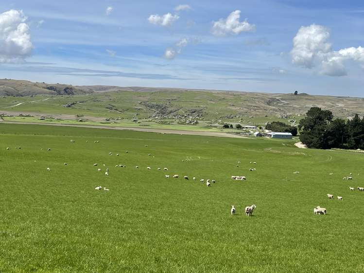 969 Nenthorn Road Moonlight_12