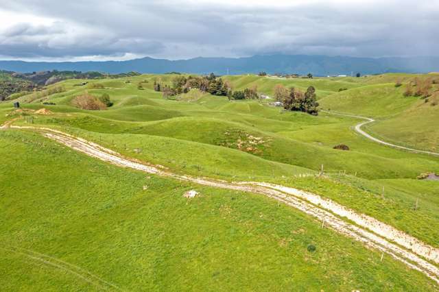 475 Pollock Road Pohangina_4