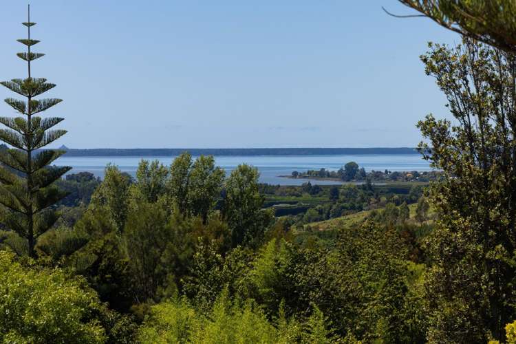 236 Willoughby Road Tahawai_18