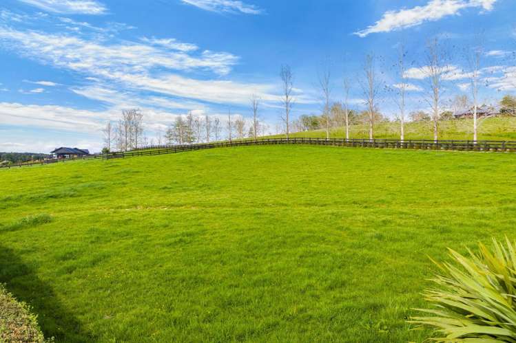 226 Knight Road Ruatangata West_29