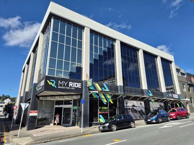 181 Vivian Street Te Aro_1