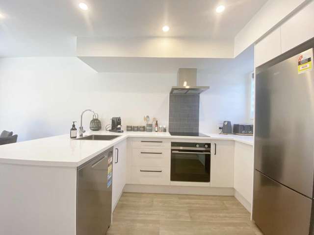 1/2C Dellow Place Spreydon_1