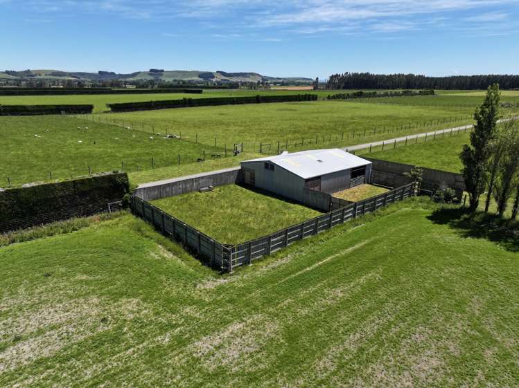 389 Mckenzie Road Browns_2